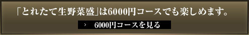 ｢とれたて生野菜盛｣は5000円コースでも楽しめます。
