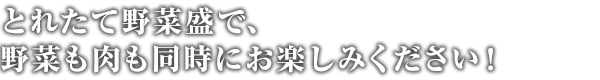 野菜も肉も同時にお楽しみください！